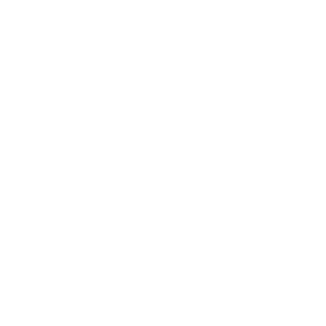 o revelador